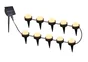 Balise solaire à piquer Solaray, blanc chaud, guirlande de 10 spots, LUMISKY