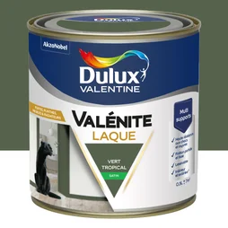 Peinture boiserie vert tropical satin DULUX VALENTINE Valenite 0.5l