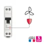 Disjoncteur ph+n LEXMAN 2a a vis