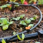 Kit goutte à goutte balcon + programmateur GEOLIA L.25 m Diam.14 mm
