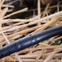 Kit tuyau goutteurs intégrés GEOLIA L.15 m Diam.14 mm