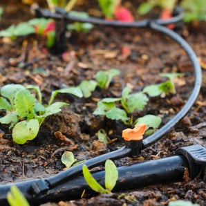 Kit Goutte à Goutte Complet Pour Jardin - Arrosage Automatique économique, Idéal Potager Jusqu'à 50 M²
