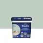 Peinture mur, RIPOLIN cuisine et bain, 0.75 litre, vert palatino satin
