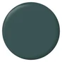 Peinture mur, RIPOLIN cuisine et bain, 0.75 litre, vert armerie satin