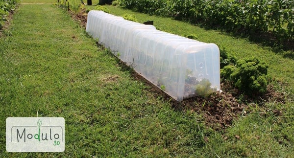 Mini serre de forcage rigide, Tunnel Modul'o 30, 78 x 29 x 28 cm