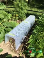 Mini serre de forcage rigide, Tunnel Modul'o 30, 78 x 29 x 28 cm