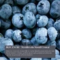 Peinture extérieure bois V33 Couleurs d'ici, bleu encré velours  2l