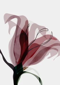 Toile imprimée Fleur abstraite, CEANOTHE 30 x 45 cm