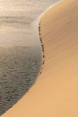 Toile imprimée Dunes de Sable, CEANOTHE 65 x 97 cm