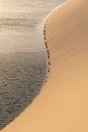 Toile imprimée Dunes de Sable, CEANOTHE 65 x 97 cm