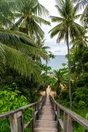 Toile imprimée Wooden Bridge, CEANOTHE 65 x 97 cm