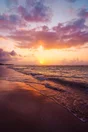 Plexiglass imprimé Golden Sunset, CEANOTHE 65 x 97 cm