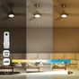 Ventilateur de plafond avec éclairage Gandia INSPIRE, gris, 15 W