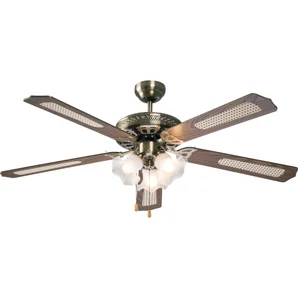 Ventilateur de plafond avec éclairage Reunion INSPIRE, chêne 