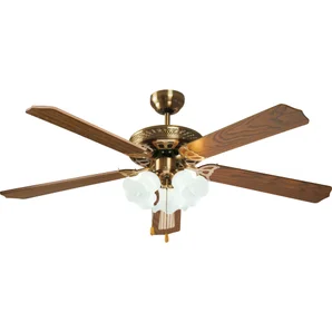 Ventilateur de plafond avec éclairage Reunion INSPIRE, chêne 