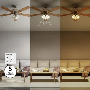 Ventilateur de plafond avec éclairage Reunion INSPIRE, chêne 
