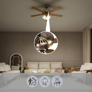 Ventilateur de plafond avec éclairage Reunion INSPIRE, chêne 