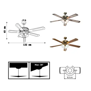Ventilateur de plafond avec éclairage Reunion INSPIRE, chêne 