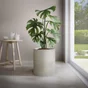 Ficelle lin écru diamètre 0.8mm x l90m, STANDERS