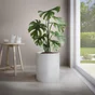 Ficelle coton blanc diamètre 1.5mm x l60m, STANDERS