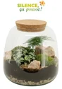 Composition florale terrarium scp + deco, H.20 cm, Diam.19.0 cm