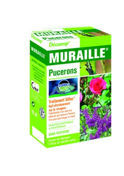 Muraille spécial pucerons
