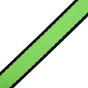 Sangle à griffes  largeur 25mm x longueur 5m verte 200kg, STANDERS