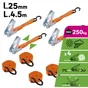 Sangle à cliquet + Crochet largeur 25mm x longueur 4.5m orange 250kg lot de 4