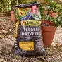 Terreau universel ALGOFLASH, 35 litres