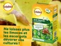 Antilimaces SOLABIOL, G
