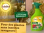 Traitement insectes pucerons SOLABIOL, pour arbres, arbustes, rosiers 750ML