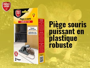Piège antisouris PROTECT EXPERT, lot de 2