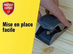 Piège antisouris PROTECT EXPERT, lot de 2