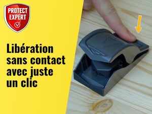 Piège antisouris PROTECT EXPERT, lot de 2