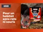 Pâte antirats et souris CAUSSADE, lot de 300