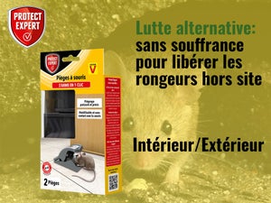 Piège antisouris PROTECT EXPERT, 1 piège