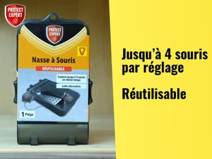Piège antisouris PROTECT EXPERT, 1 piège