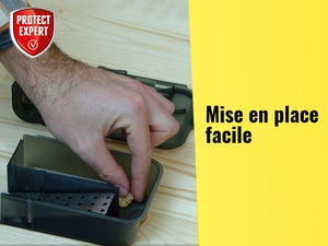 Piège antisouris PROTECT EXPERT, 1 piège