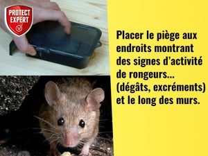 Piège antisouris PROTECT EXPERT, 1 piège