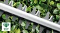 Taille-haies électrique BOSCH UniversalHedgeCut 58, 480 W L.60 cm