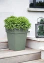 Pot polypropylène EDA 13628 v.la Diam.0 L.39 x l.39 x H.53 cm vert laurier