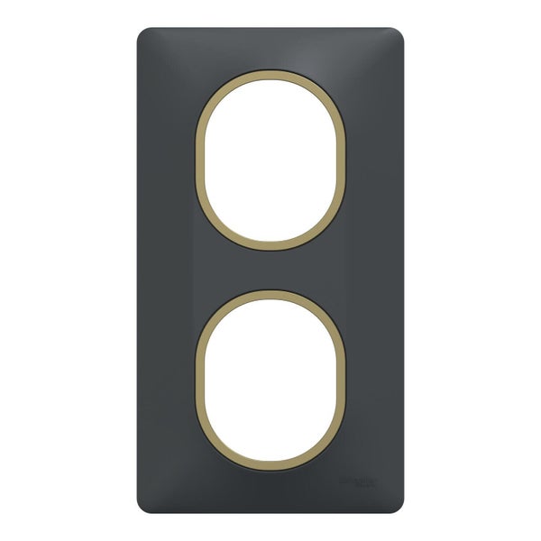 Plaque double verticale Ovalis SCHNEIDER ELECTRIC, anthracite bague effet laiton