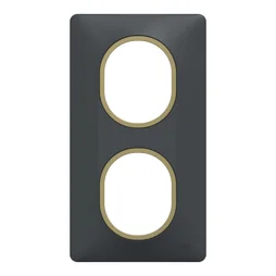 Plaque double verticale Ovalis SCHNEIDER ELECTRIC, anthracite bague effet laiton
