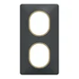 Plaque double verticale Ovalis SCHNEIDER ELECTRIC, anthracite bague effet laiton