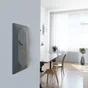 Plaque double verticale Ovalis SCHNEIDER ELECTRIC, anthracite bague effet laiton