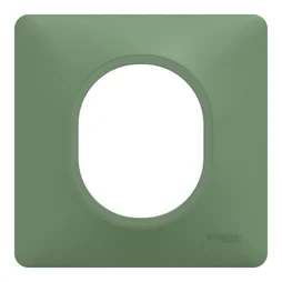 Plaque simple Ovalis, SCHNEIDER ELECTRIC, vert forêt