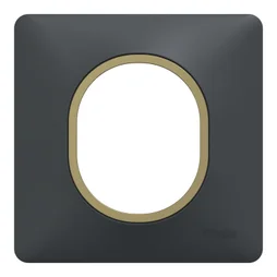 Plaque simple Ovalis, SCHNEIDER ELECTRIC, anthracite bague effet laiton