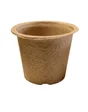 Pot à plante L.4.55 x l.2 cm,