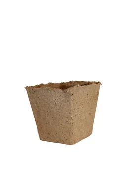 Support d'ensemencement L.6 x l.6 cm,