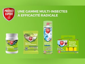Larvicide anti-moustiques PROTECT EXPERT, 100 g